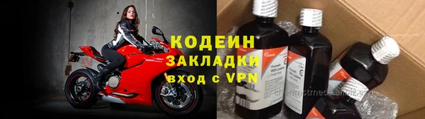 сатива Покачи