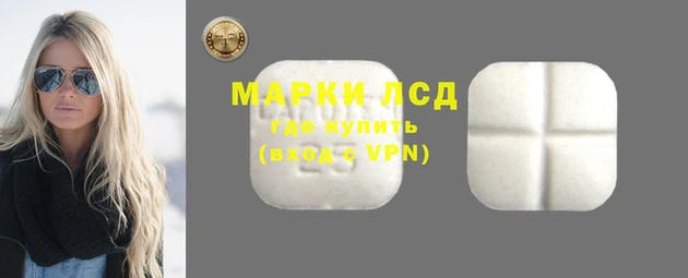 сатива Покачи