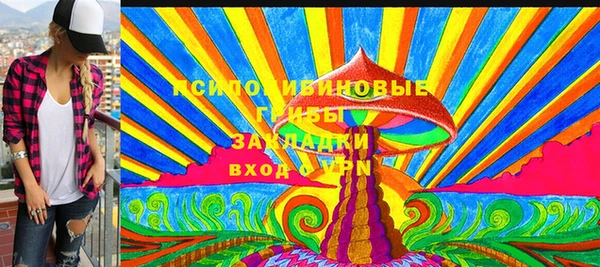 сатива Покачи