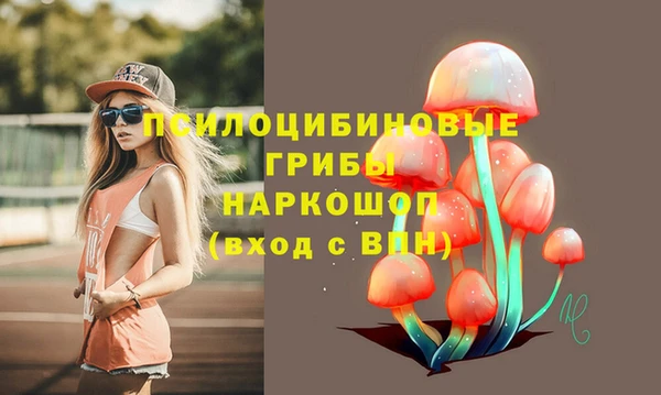 тгк Покров