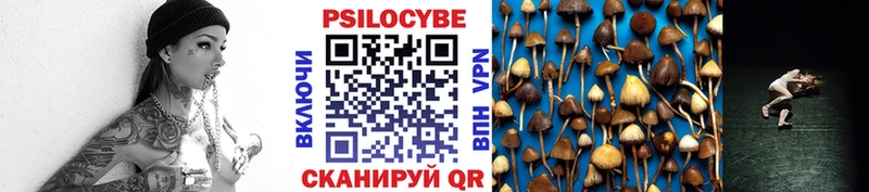 shop наркотические препараты  Ардон  Галлюциногенные грибы мицелий 